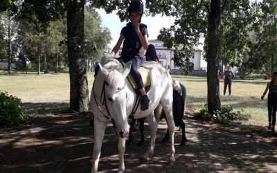 wycieczka fakultatywna